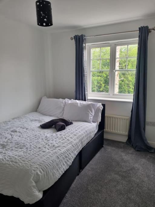 Maidstone Villa 3 Bedroom Free Sports Channels,Parking Sleeps 7 Exterior photo